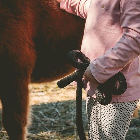 Familienhotel Replerhof Mit Kinderbetreuung Prägraten Esterno foto